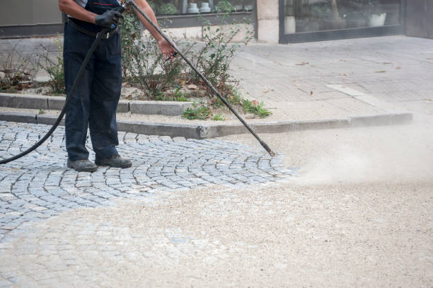 Best Sidewalk and Walkway Cleaning  in Preston, IA